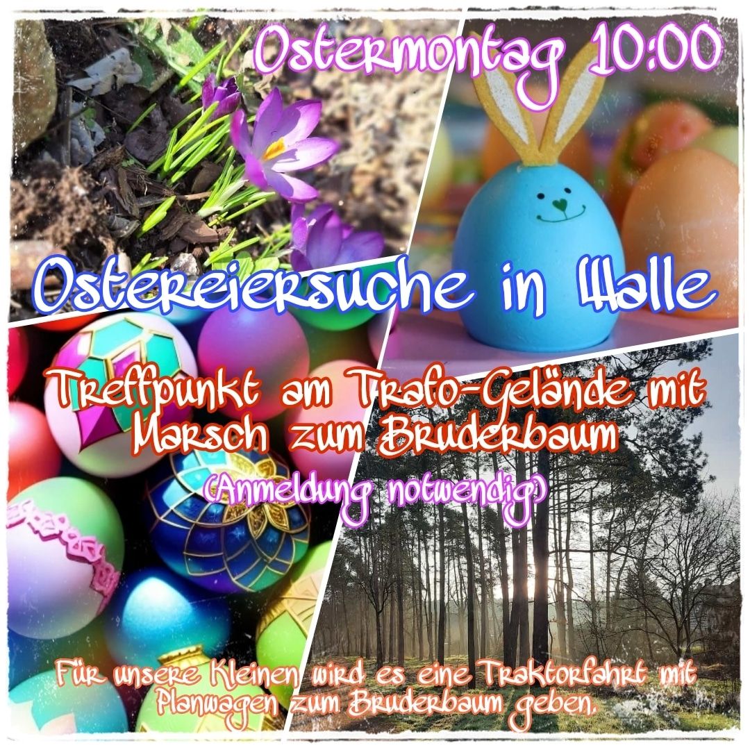 Ostereiersuche 2024