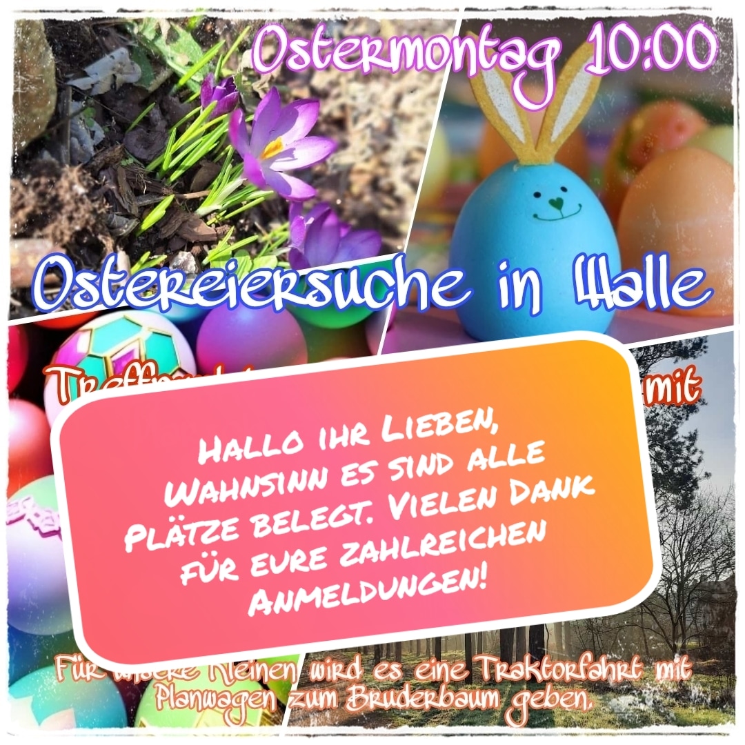 Ostereiersuche 2024 belegt