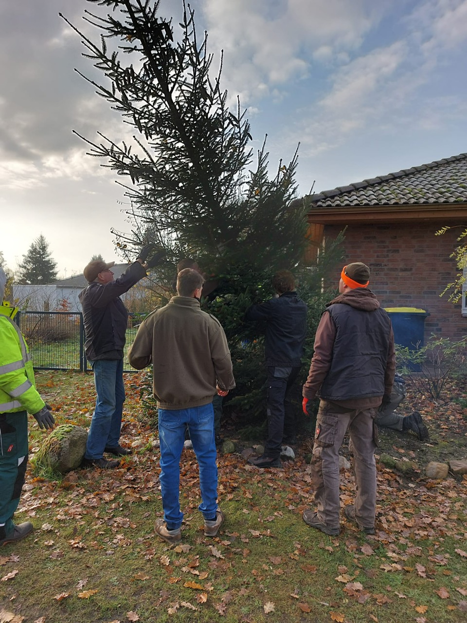 weihnachtsbaum 2024 a