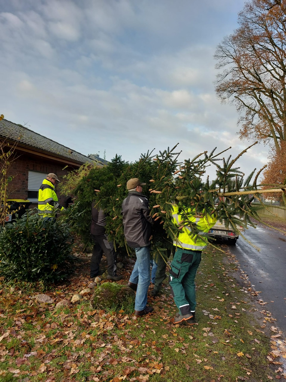 weihnachtsbaum 2024 b