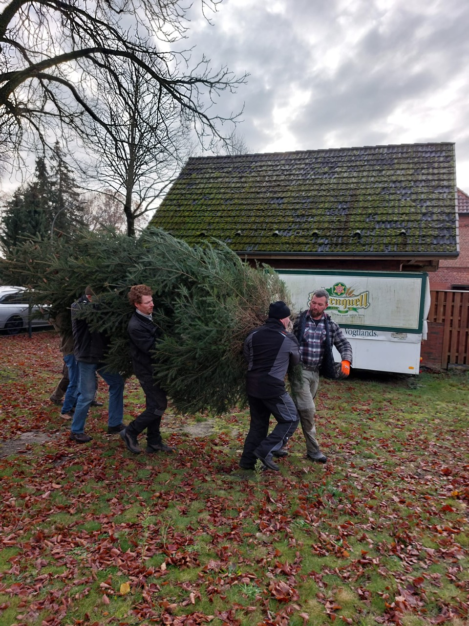 weihnachtsbaum 2024 d