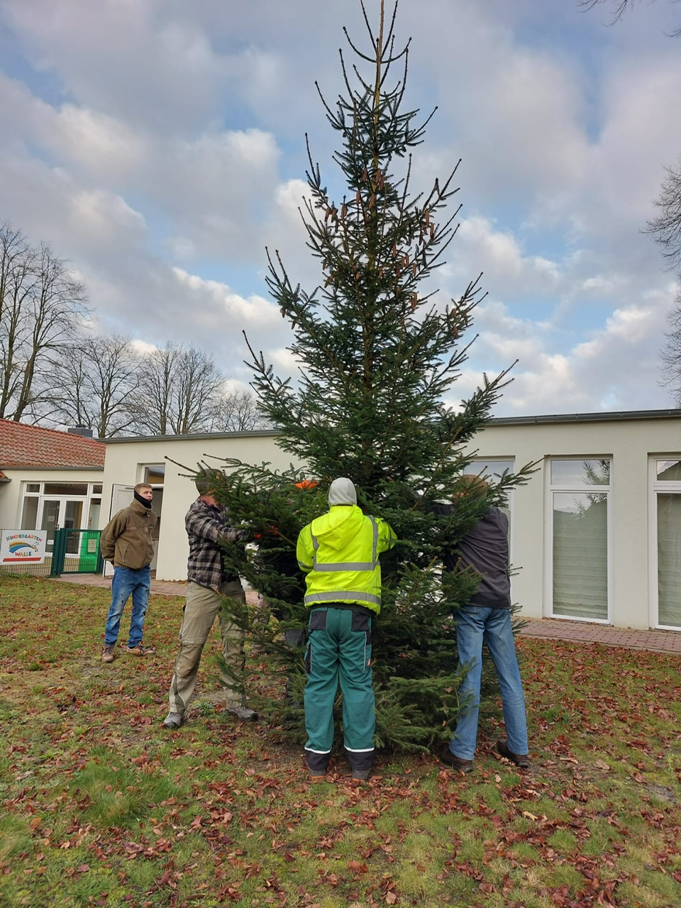 weihnachtsbaum 2024 e
