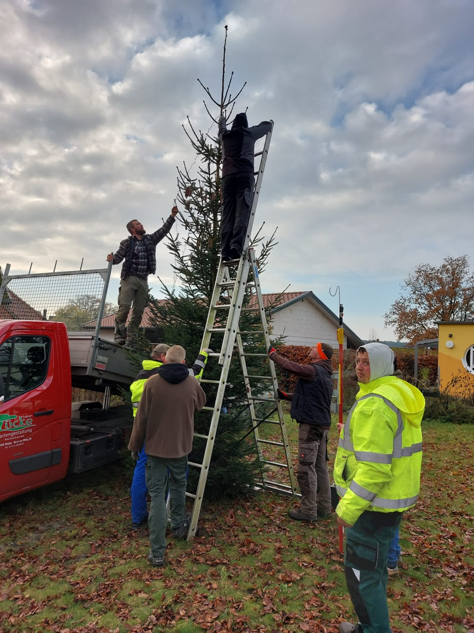 weihnachtsbaum 2024 f