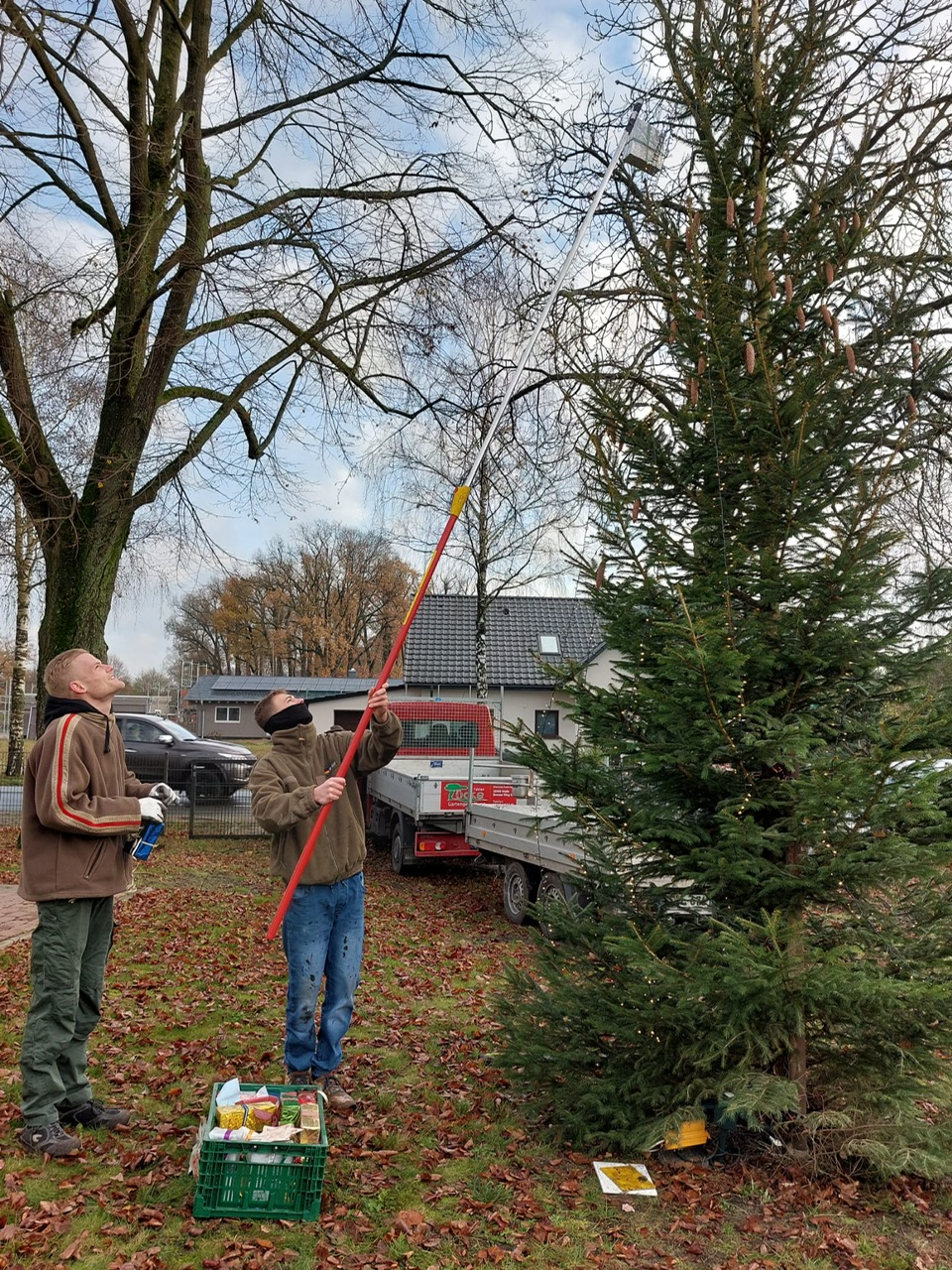 weihnachtsbaum 2024 g